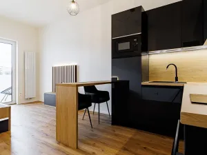 Pronájem bytu 1+kk, Brno, Komárovská, 38 m2