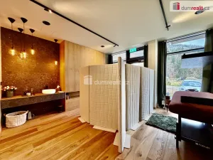 Prodej bytu 1+kk, Harrachov, 28 m2