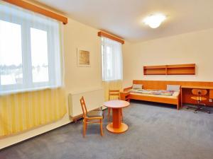 Pronájem bytu 1+kk, Brno, Horova, 27 m2