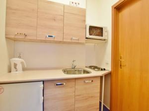 Pronájem bytu 1+kk, Brno, Horova, 27 m2