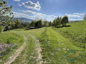 Prodej ubytování, Malá Morava, 8522 m2