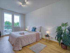 Pronájem bytu 3+kk, Rakovník - Rakovník II, Pražská, 61 m2