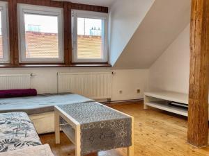 Pronájem bytu 2+kk, Plzeň - Jižní Předměstí, Zikmunda Wintra, 48 m2