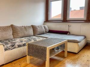 Pronájem bytu 2+kk, Plzeň - Jižní Předměstí, Zikmunda Wintra, 48 m2