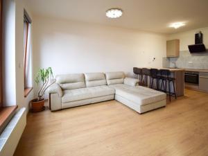 Pronájem bytu 2+kk, Plzeň - Jižní Předměstí, Boettingerova, 60 m2