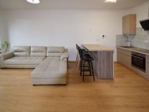 Pronájem bytu 2+kk, Plzeň - Jižní Předměstí, Boettingerova, 60 m2