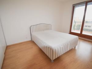 Pronájem bytu 2+kk, Plzeň - Jižní Předměstí, Boettingerova, 60 m2