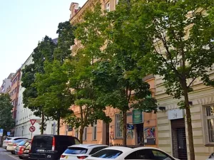 Pronájem bytu 1+1, Praha - Vinohrady, Řipská, 45 m2
