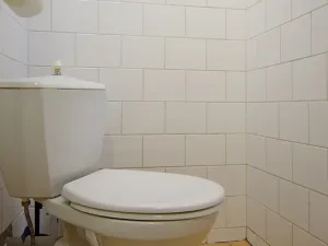 Pronájem bytu 1+1, Praha - Vinohrady, Řipská, 45 m2