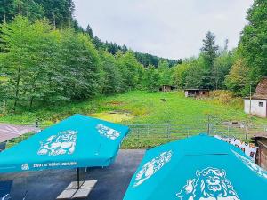 Prodej zemědělské usedlosti, Valašské Klobouky, 467 m2