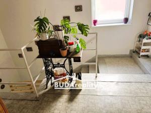 Prodej rodinného domu, Kojetín, Kroměřížská, 350 m2