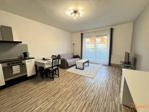 Pronájem bytu 1+kk, Holubice, Platanová, 48 m2