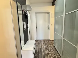 Pronájem bytu 1+kk, Holubice, Platanová, 48 m2