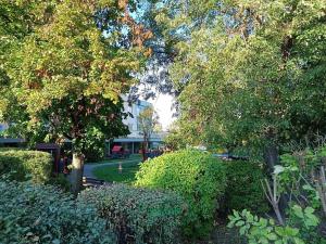Prodej bytu 2+kk, Beroun, Okružní, 38 m2