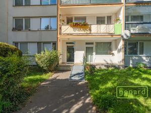 Prodej bytu 2+kk, Praha, Střelničná, 44 m2