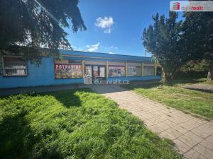 Pronájem obchodního prostoru, Kolín - Kolín V, Třídvorská, 324 m2