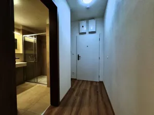 Pronájem bytu 1+kk, Kutná Hora, Plk. Loudy, 31 m2