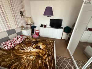 Prodej bytu 2+1, Most, tř. Budovatelů, 53 m2