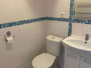 Pronájem bytu 1+kk, Řevničov, Karlovarská, 24 m2