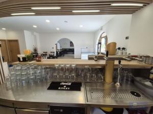 Pronájem ubytování, Klentnice, 822 m2