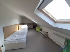 Pronájem ubytování, Klentnice, 822 m2