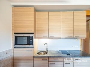 Pronájem bytu 1+kk, Praha - Vysočany, Podnádražní, 22 m2