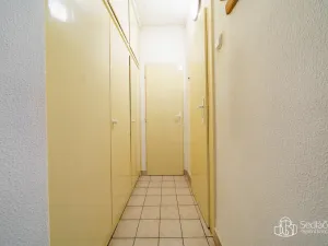 Prodej bytu 3+1, Svatava, Podlesí, 69 m2