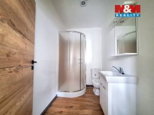 Pronájem bytu 1+kk, Rostoklaty - Nová Ves II, 28 m2