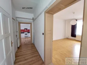 Prodej činžovního domu, Krnov - Pod Bezručovým vrchem, Albrechtická, 300 m2