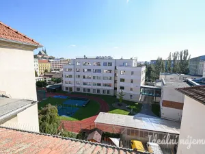 Pronájem bytu 2+1, Brno - Staré Brno, Zahradnická, 79 m2