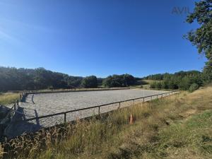 Prodej komerční nemovitosti, Týnec nad Sázavou - Krusičany, 220 m2