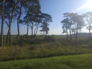 Prodej pole, Roudnice nad Labem, Žižkova, 2271 m2