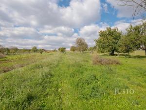 Prodej pozemku pro bydlení, Těmice, 40 m2