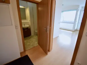 Pronájem bytu 1+kk, Brno - Bystrc, Hvozdecká, 39 m2
