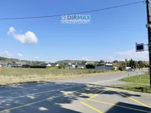 Prodej rodinného domu, Plzeň - Malesice, Mlýnská, 665 m2