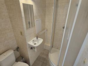 Pronájem bytu 1+kk, Mariánské Lázně, Hroznatova, 20 m2