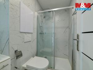 Pronájem bytu 1+kk, Mariánské Lázně - Úšovice, Hroznatova, 19 m2