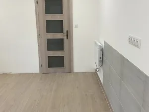 Pronájem komerční nemovitosti, Hořátev, 22 m2