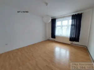 Prodej rodinného domu, Krnov - Pod Bezručovým vrchem, Albrechtická, 300 m2
