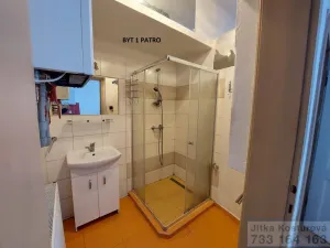 Prodej rodinného domu, Krnov - Pod Bezručovým vrchem, Albrechtická, 300 m2