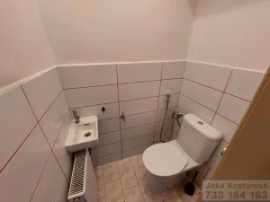 Prodej rodinného domu, Krnov - Pod Bezručovým vrchem, Albrechtická, 300 m2