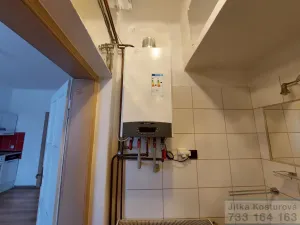 Prodej rodinného domu, Krnov - Pod Bezručovým vrchem, Albrechtická, 300 m2