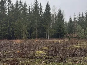 Prodej pozemku, Veliny, 50855 m2