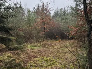 Prodej pozemku, Veliny, 50855 m2