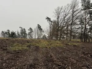 Prodej pozemku, Veliny, 50855 m2