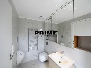 Pronájem rodinného domu, Praha - Řepy, U Lesoparku, 408 m2