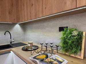 Pronájem bytu 2+kk, Ostrava, Dr. Martínka, 40 m2
