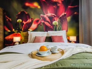 Pronájem bytu 2+kk, Praha - Hloubětín, Laponská, 49 m2