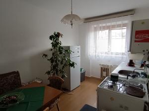 Prodej bytu 2+1, České Budějovice - České Budějovice 3, Otakarova, 57 m2