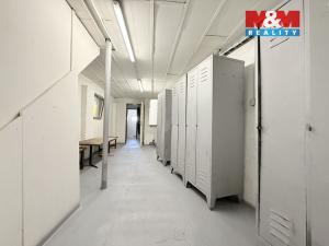 Pronájem komerční nemovitosti, Kladno - Kročehlavy, Úzká, 192 m2